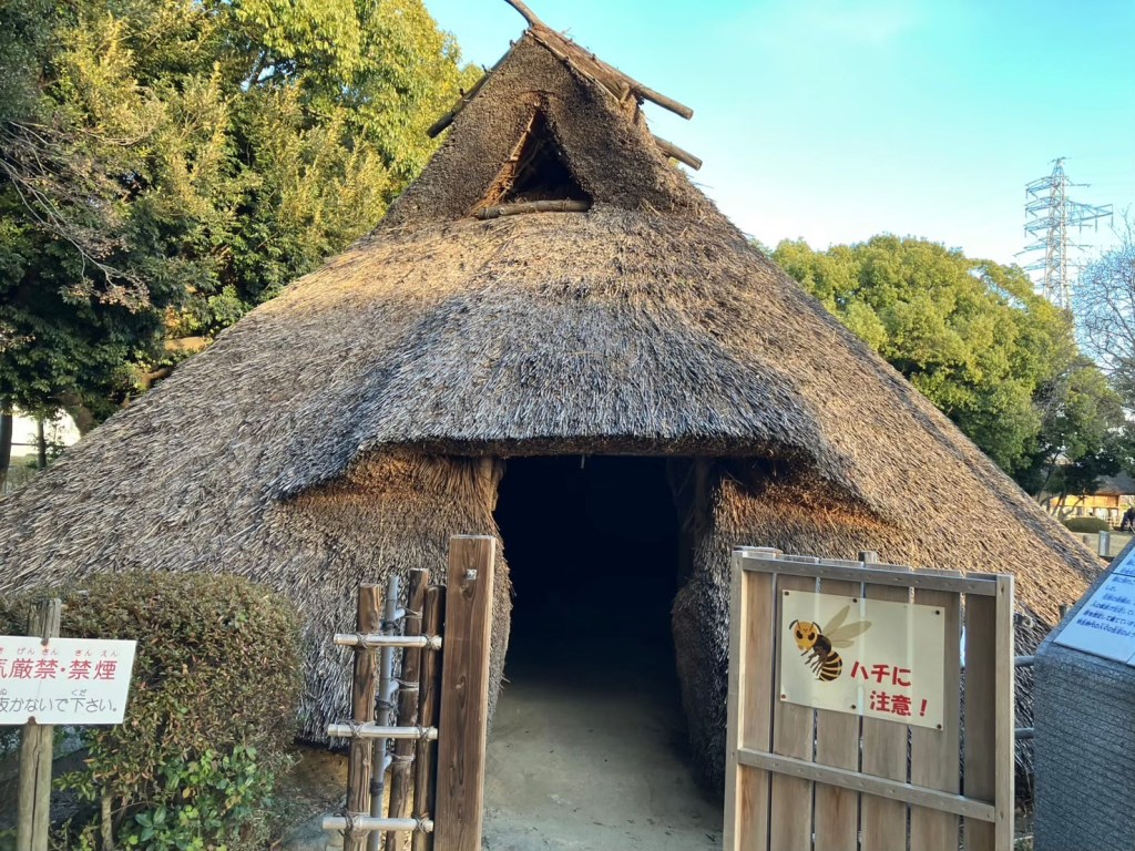 【尼崎市】無料で古代のロマンに触れる！田野遺跡で縄文・弥生時代を体感しよう